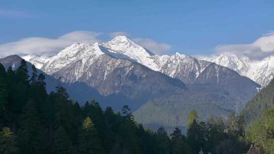 西藏林芝雪山森林