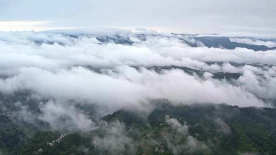 大雾清晨云雾大山云海森林自然云山脉山区