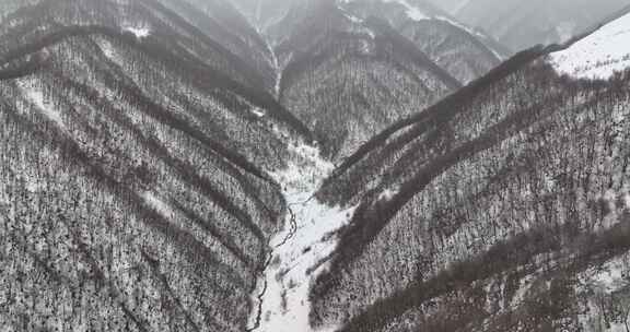 鸟瞰雪山