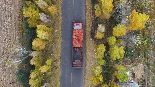 秋天金黄乡村道路航拍