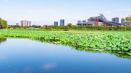 东湖公园延时