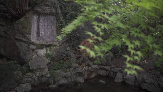 杭州凤凰山万松书院风景