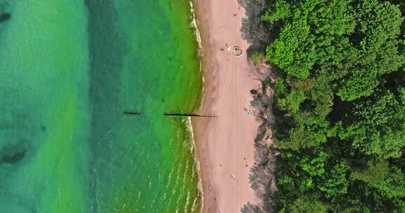 波罗的海旅游。夏季波罗的海海滩。