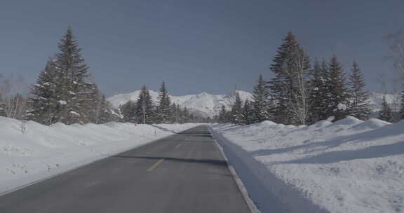 积雪覆盖的林间道路风景