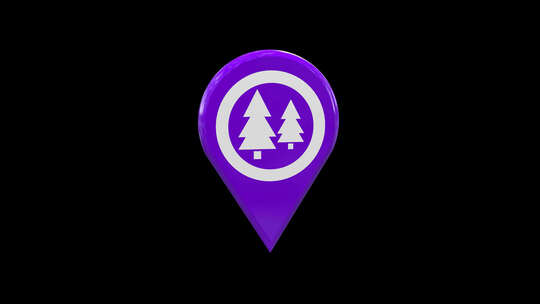 森林公园3D地图位置Pin Purple