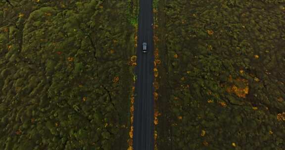 道路，自然，驾驶，汽车