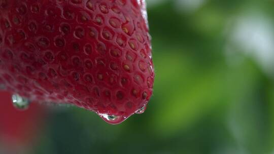 草莓上的水珠特写慢镜头