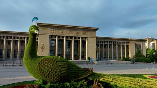 河北博物院前孔雀绿植景观