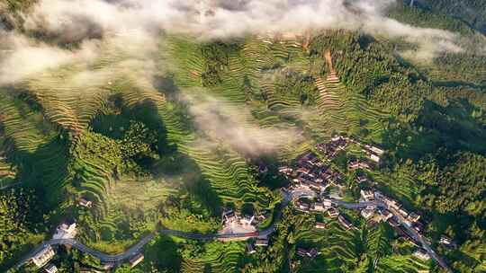 航拍丽水云和梯田日出云海风景美如画