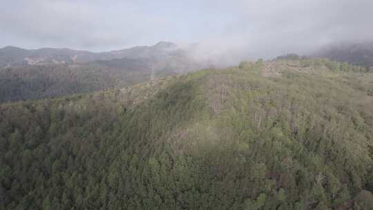 中国西部四川大凉山高原云海自然风光航拍