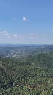 竖屏航拍山川丘陵大山山脉森林植物