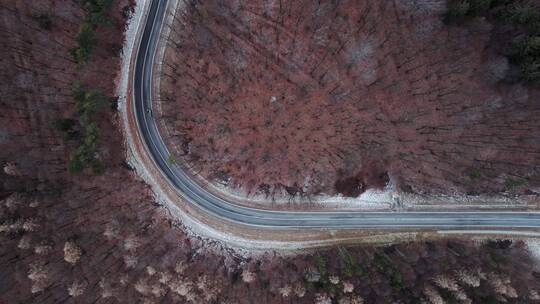 航拍道路森林景观