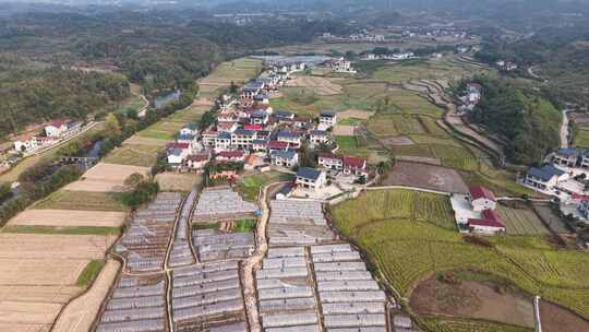 乡村田园农业种植大棚航拍