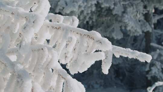 山区冬季单板滑雪