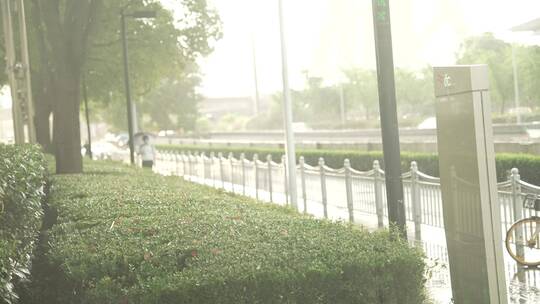 上海绿化带空镜