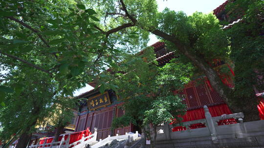 武汉洪山区宝通禅寺皇家寺院