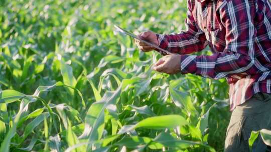 智慧农业玉米种植农业科技化