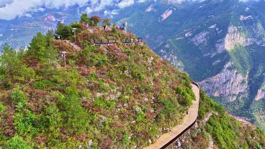 三峡红叶