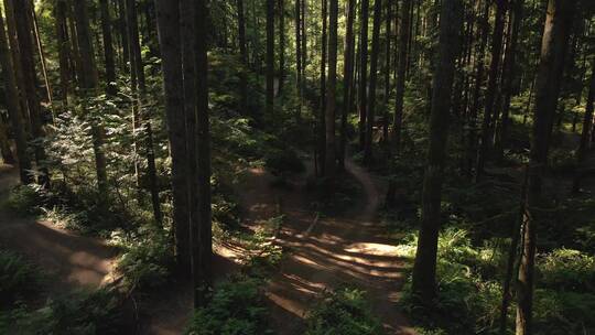 森林中的山地车越野航拍