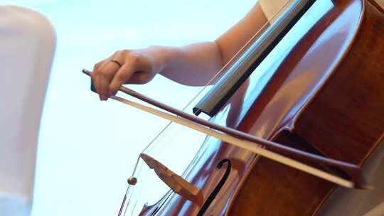 女子弦乐四重奏表演