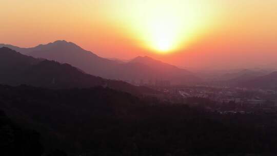 东穆坞村 留下街道 茶山 茶叶 茶山