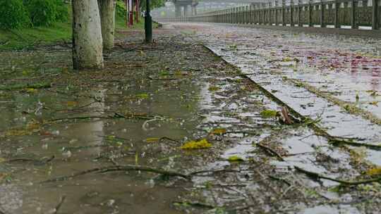 下雨雨水雨滴雨天道路泥泞视频素材模板下载