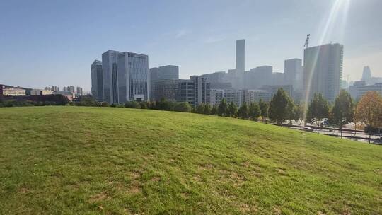 济南高新区城市绿地，高楼大厦中间的小草原