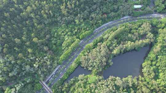 山林间道路航拍