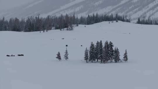 航拍新疆喀纳斯雪地