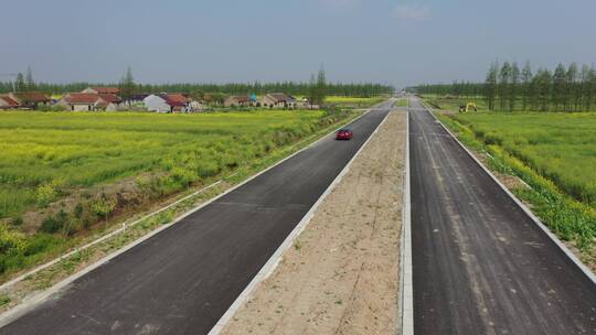 上海 崇明岛 汽车 旅拍 风景 树林