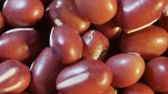 微距红豆赤小豆粗粮杂粮视频素材模板下载