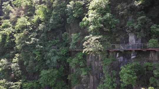 贵州矮寨大桥栈道