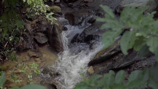 河流小溪青草泉水河边河水溪流水