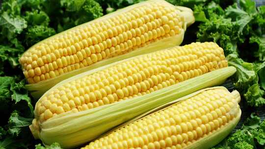 新鲜玉米甜玉米蔬菜农业粮食营养食材