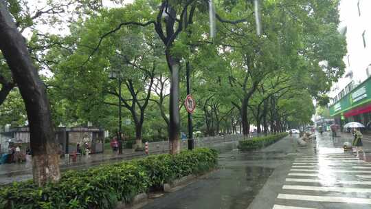 城市雨季下雨素材实拍