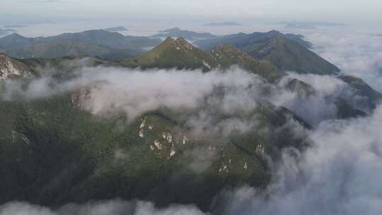 森林湖泊云海山川山脉云雾缭绕