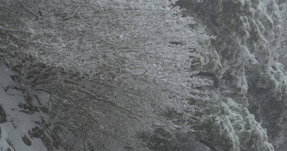 山东泰山风景区雪景下雪