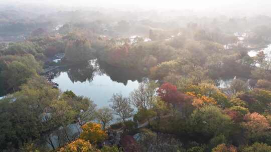 杭州秋天 西溪湿地 手摇船 湿地博物馆