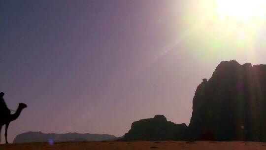 骆驼穿过瓦迪拉姆沙漠