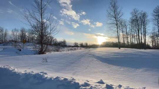 冬日雪地树林日落景象