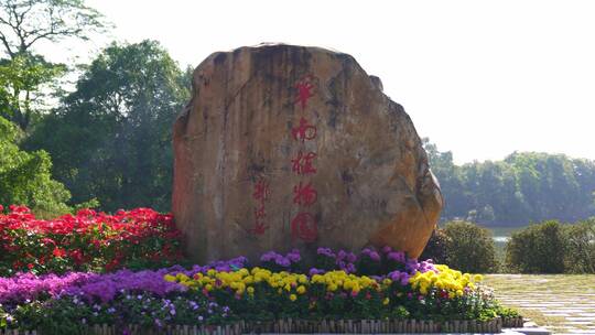 广州天河华南植物园 一品红鲜花视频素材模板下载