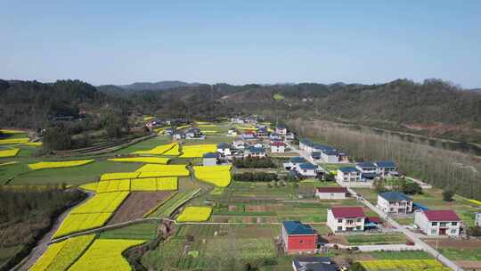 美丽乡村田园油菜花丘陵山川航拍