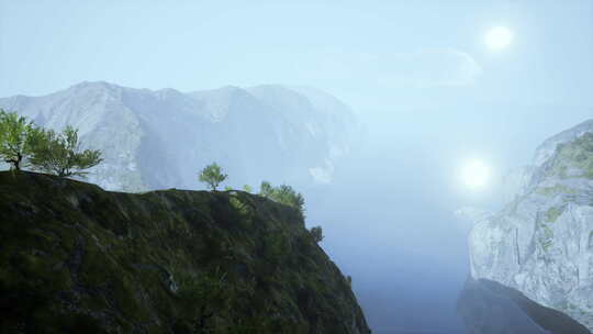 崎岖悬崖上参天大树的迷雾山景