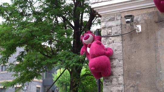 山东济南经三路白色建筑挂满粉色草莓熊