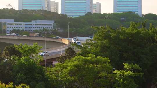 通过城市高架公路的机动车