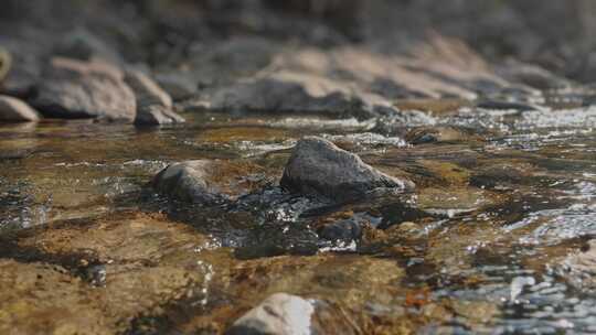 溪水水流河流大自然野外小溪