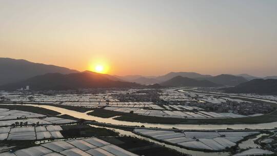 乡村振兴农业发展漳州龙海蔬菜水果养殖基地