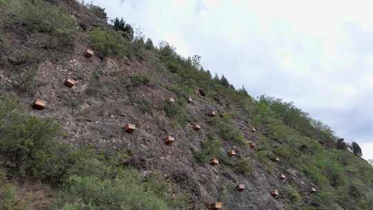 悬崖养蜂人蜜蜂养殖农业蜂蜜