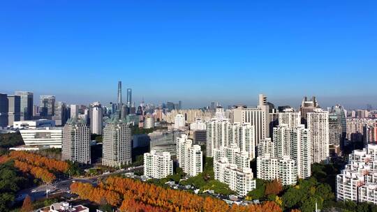 浦东世纪广场  浦东城市发展