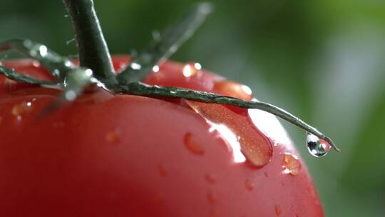 番茄上水滴滑落的慢镜头拍摄